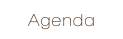 Agenda